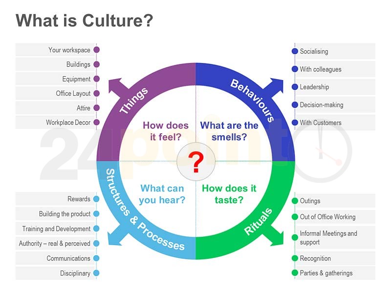 The Importance of Culture in Organizations
